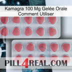 Kamagra 100 Mg Gelée Orale Comment Utiliser 19